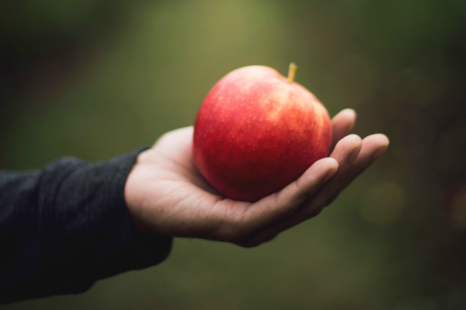 How An HSA Account Can Help You Build Wealth Beyond Your Hammock How An HSA Account Can Help You Build Wealth Beyond Your Hammock