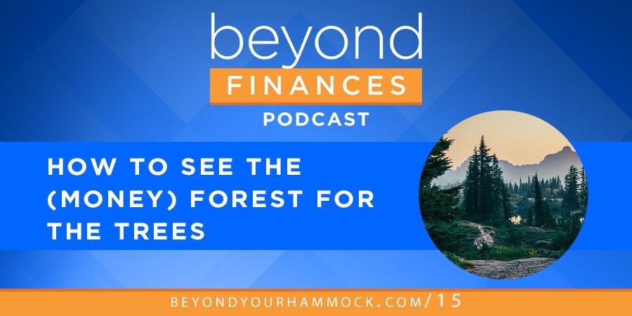 Beyond Finances Podcast #15: How to See the (Money) Forest for the Trees post image
